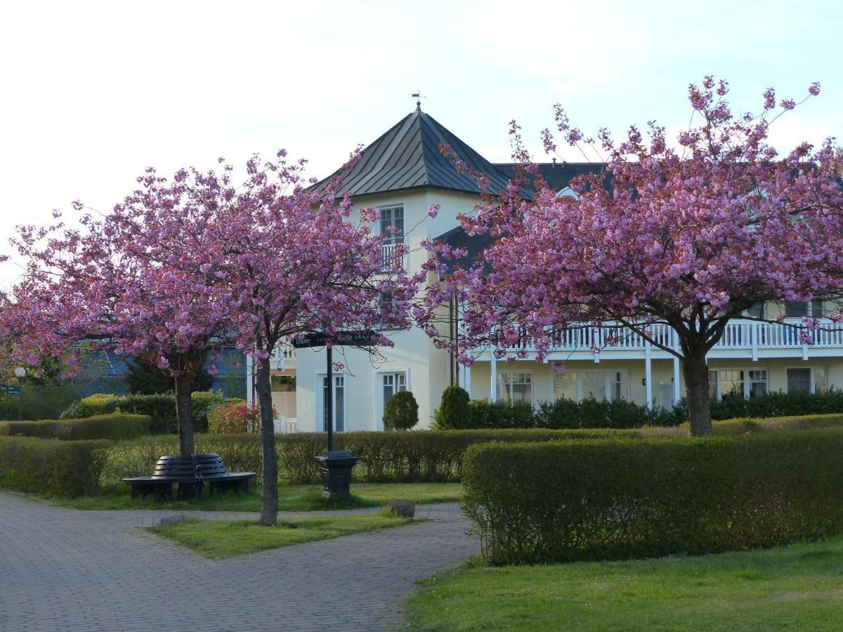 Duenenpark In Binz Fuer Eltern Und Kind公寓 外观 照片